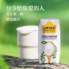 认养一头牛 风味酸牛奶200g*12盒